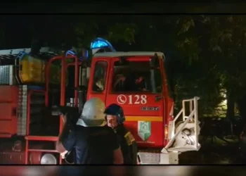 Zjarr i madh pranë aksit Lushnjë-Rrogozhinë, flakët përpijnë edhe fabrikën e paletave