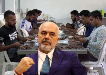 Për 18 ditë leja dhe viza për punëtorët e huaj, aplikimi në e-Albania