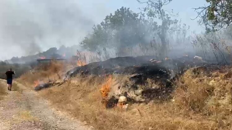 Riaktivizohet zjarri në masivin pyjor në Bulqizë