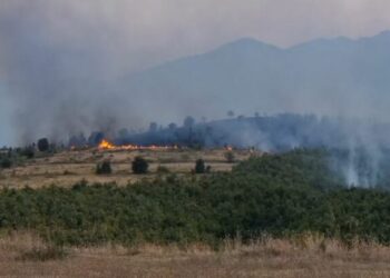 Zjarr i madh afër Burrelit në një sipërfaqe rë madhe me dushqe