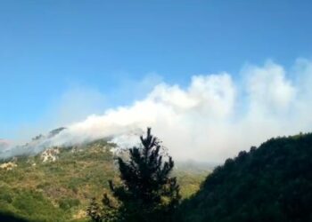 Zjarr i qëllimshëm në Qafë-Shtamë/ Pjesë të pyllit të shkrumbuara, kërkohet ndërhyrje nga ajri dhe toka
