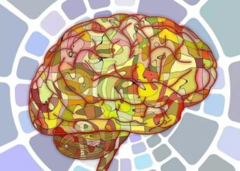 Pesë mënyrat se si plaket truri ynë