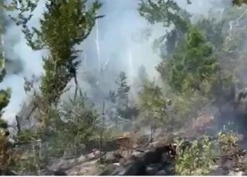 Zjarr i madh mbi fshatin Luzat në Tepelenë, ndërhyrje nga toka dhe ajri për shuarjen e tij