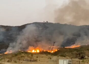 Zjarr masiv në Gorrisht të Vlorës, digjen mbi 3 mijë rrënjë ulliri