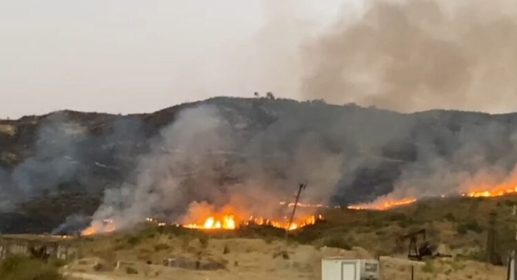 Zjarr masiv në Gorrisht të Vlorës, digjen mbi 3 mijë rrënjë ulliri