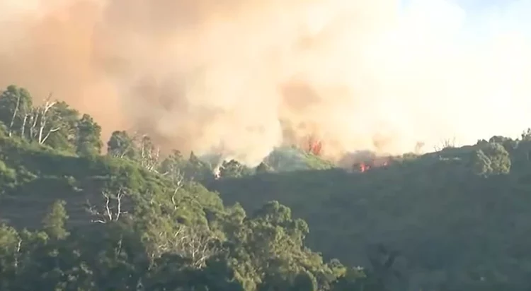 Zjarret shkrumbojnë ishullin turistik në Portugali, mbi 5 mijë hektarë të djegura