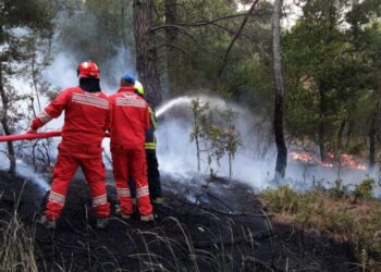 Shuhen 43 vatra zjarri në 24 orët e fundit, katër mbeten ende aktive