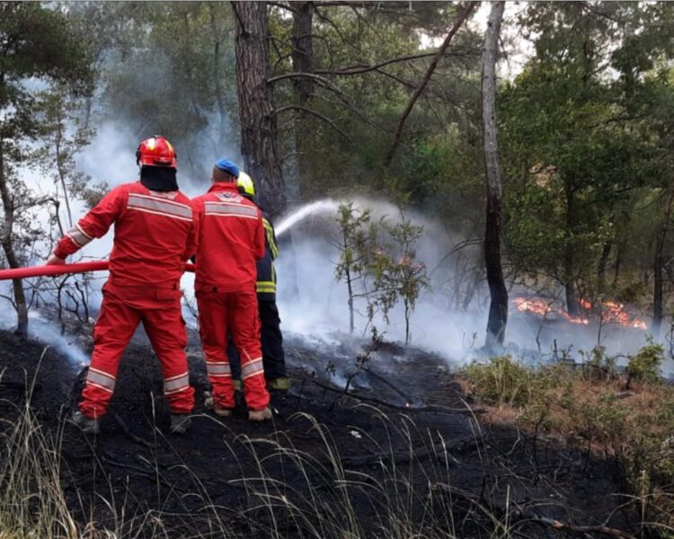 Zjarret/ Ministria: Janë 19 vatra aktive, flakët në Kostar të Finiqit rrezikojnë edhe Delvinën