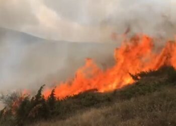 Zjarr në masivin pyjor në fshatin Novosej të Kukësit, kërkohet ndërhyrja nga ajri
