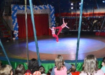 Shkarkohet nga detyra drejtori i Cirkut Kombëtar