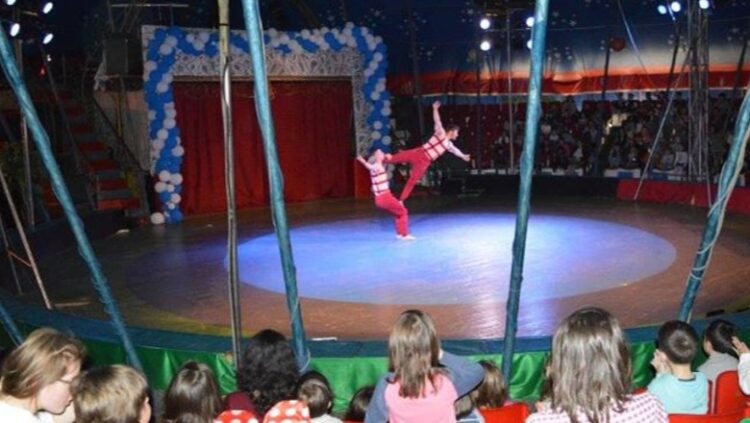 Shkarkohet nga detyra drejtori i Cirkut Kombëtar