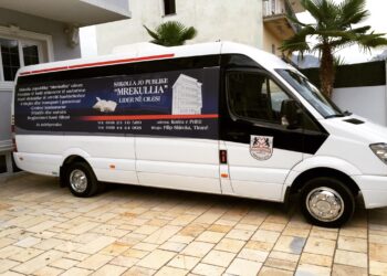 Plagosje brenda shkollës private “Mrekullia” në Tiranë, nxënësi i mitur goditet  me mjet prerës