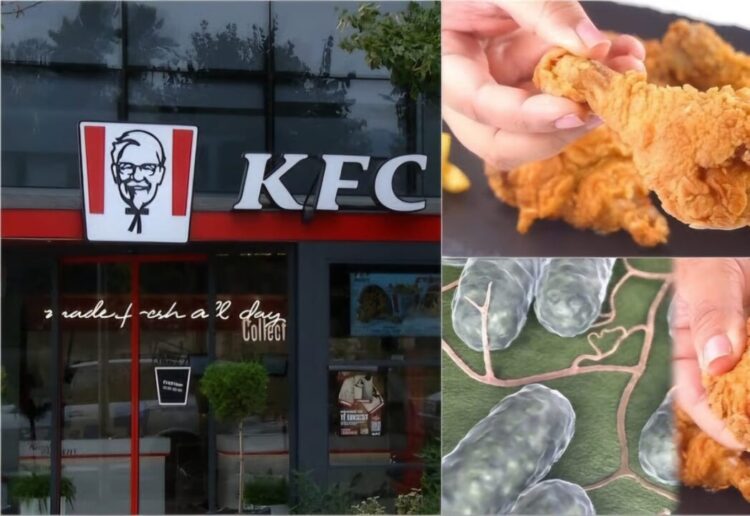 Dyqanet e “KFC” në Shqipëri shesin mish pule të infektuar me salmonelë