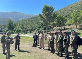 Forcat shqiptare dhe britanike, stërvitje të përbashkët në Pashaliman