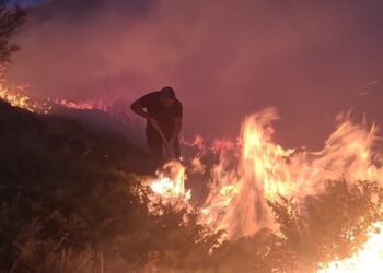 Zjarr i madh në malin e Shashicës, flakët afrohen drejt fshatit Tragjas