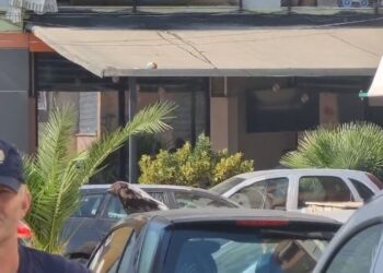 Atentati në Don Bosko, në lokalin që mban emrin e politikanes Fajon