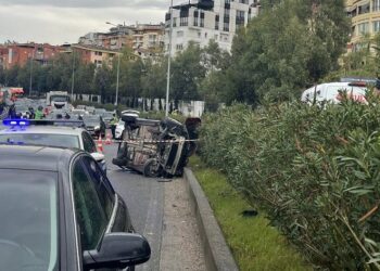 Tiranë, aksidenti te Kopshti Zoologjik, humb jetën në spital i riu