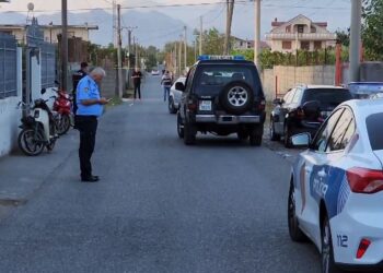 Plagosja pas sherrit në rrjete sociale, detaje nga krimi në Shkodër