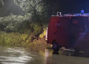 Moti i keq në Vlorë, bllokohet rruga pas rrëzimit të pemës