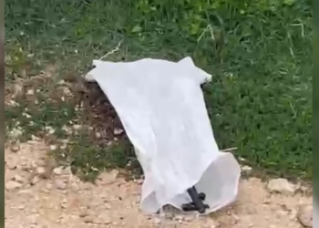 EMRI/ Hapte profile false në rrjet dhe fyente një vajzë, arrestohet i riu, i gjendet dhe një kallash