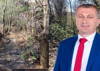 Eduard Duro hedh 113 MLN lekë për prerjen e shkurreve buzë përroit, i fal tenderin mikut të vjetër