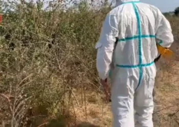 Dinamika e krimit/ 30-vjeçari denoncoi se babai iku nga shtëpia me një grua të panjohur, djali tjetër…(VIDEO)