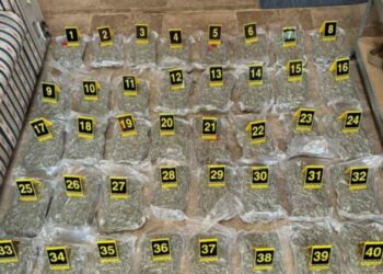 Kapen 66 kg marijuanë në kufirin e Malit të Zi, trafikantët arratisen në Shqipëri