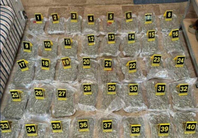 Kapen 66 kg marijuanë në kufirin e Malit të Zi, trafikantët arratisen në Shqipëri