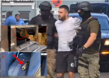 Akuzohet se strehoi Marklen Hakën, Gjykata jep vendimin për Klajdi Hakën