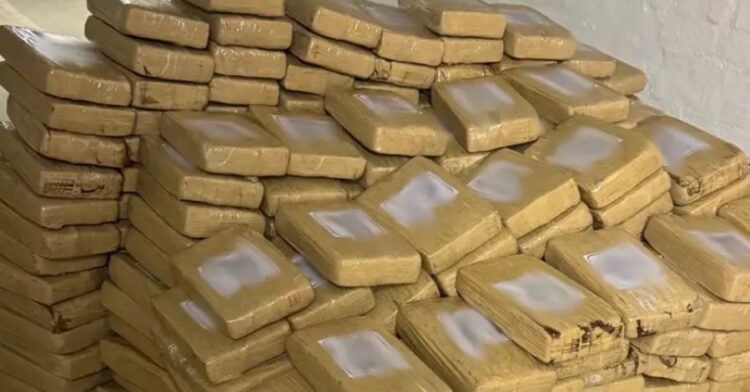 Gjermania ngre alarmin: Rritet numri i shqiptarëve në krimin e organizuar, grupet janë bërë të dhunshme…