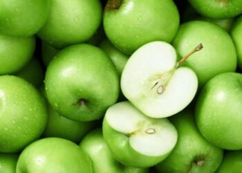 Mollët jeshile, përfitimet për shëndetin