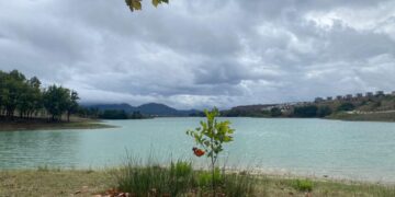 Parashikimi i motit, 19 Shtator 2024