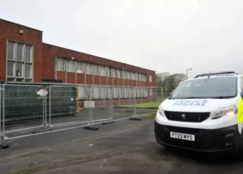 Dalin në gjyq 3 shqiptarët që u kapën në fermën e kanabisit me vlerë 1 milion paund