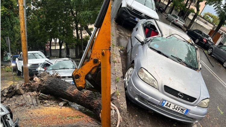 Era e fortë rrëzon pemët në Shkodër, dëmtohen makinat e parkuara (Foto)