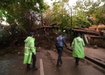 Moti i keq rrëzon pemët në ish-Bllok dhe rrugën “Myslym Shyri” në Tiranë