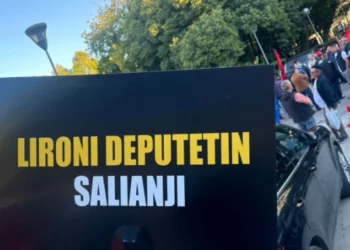 “Lironi deputetin Salianji”, protestuesit mblidhen tek selia blu me pankarta për deputetin