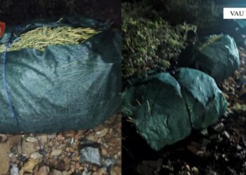 Sekuestrohen 120 kg drogë në Vaun e Dejës, asnjë i arrestuar