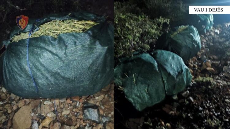 Sekuestrohen 120 kg drogë në Vaun e Dejës, asnjë i arrestuar
