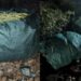 Sekuestrohen 120 kg drogë në Vaun e Dejës, asnjë i arrestuar