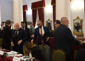 Takimi i demokratëve me eurodeputetët, Bardhi: Rama na ka ndëshkuar si opozitë!