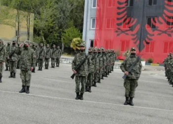 Vendimi i qeverisë për Forca Rezerviste/ Kriteret për ushtarakët, qëndrimi në detyrë 45 ditë në vit