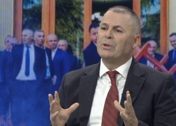 Deputeti i PD-së: Kushtetuta e SHBA parashikon që qytetarët të marrin armët kur shteti punon kundër tyre