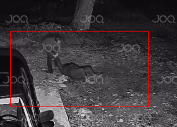 Pamje tronditëse! Burri tërheq zvarrë nënën e tij të moshuar në Tiranë (Video)