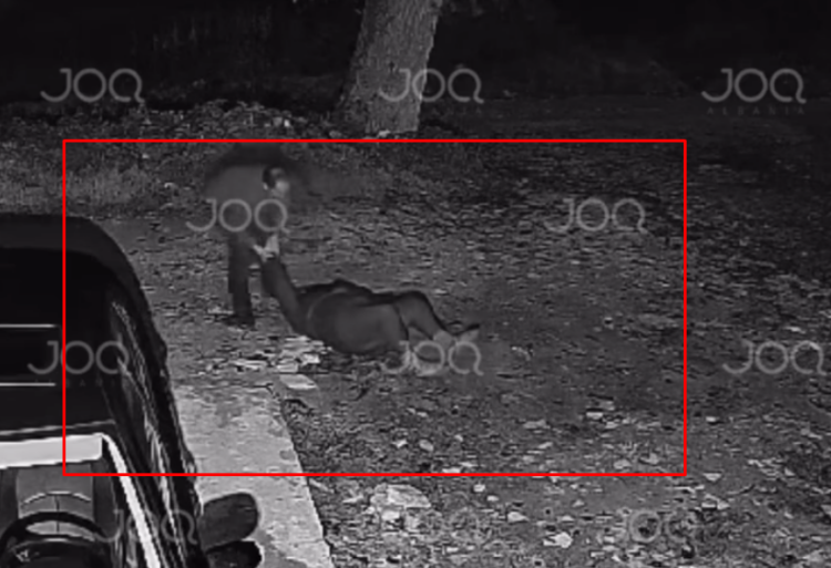 Pamje tronditëse! Burri tërheq zvarrë nënën e tij të moshuar në Tiranë (Video)