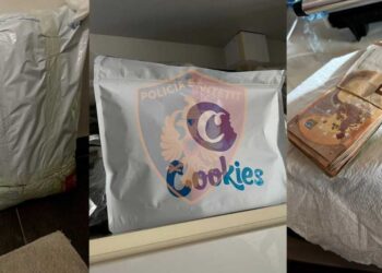 Korrier minoren dhe emra fiktiv vajzash, si u trafikua droga me postë nga SHBA