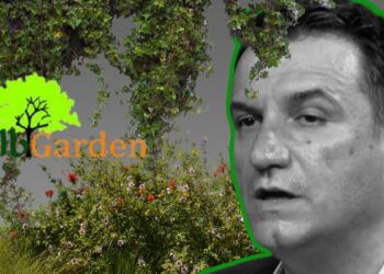 Kryetari i Bashkisë Tiranë, Erion Veliaj, nuk lodhet duke e përsëritur legjendën e “Pyllit Orbital”, që justifikon tenderat për blerje të pemëve dhe shkurreve. 