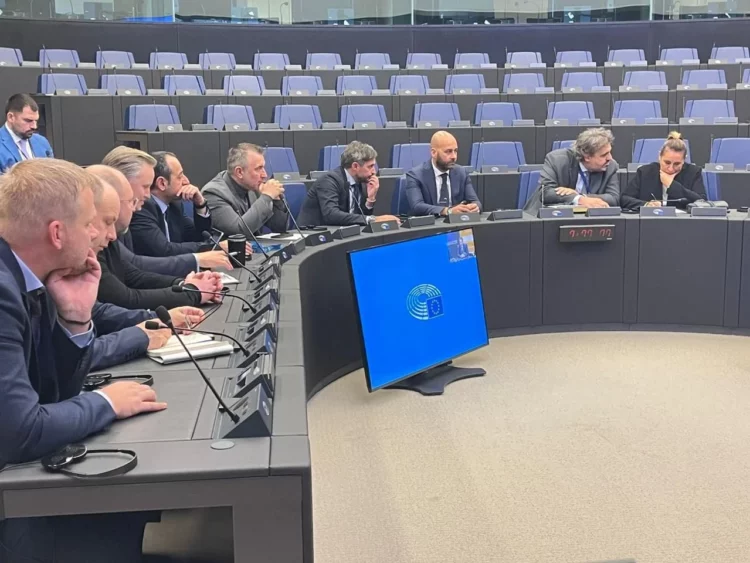 Takimi me grupin e PD-së, eurodeputetët: Shqipëria të sigurojë zgjedhje të lira