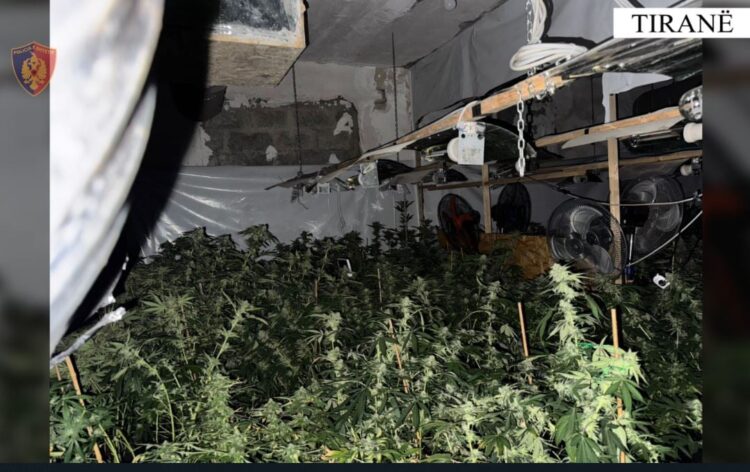 “Shtëpi bari” në magazinat e shtetit, policia justifikohet: Ishte pronë private