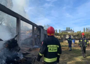 Shkrumbohet magazina në Lezhë, shërbente si bazë ushqimore për bagëtitë