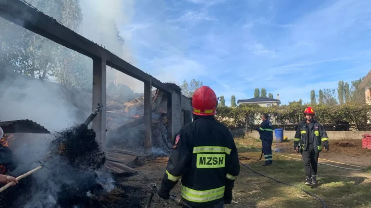 Shkrumbohet magazina në Lezhë, shërbente si bazë ushqimore për bagëtitë